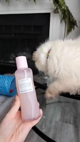 Glow Recipe Watermelon Glow PHA + BHA Pore Tight Toner 150 ML.